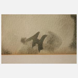 Alfred Hesse, Elbfähre in Pillnitz