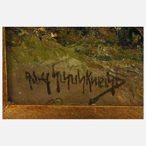 Adolf Schuhknecht, See im Alpenvorland