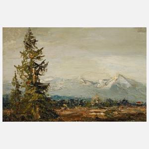 Adolf Schuhknecht, See im Alpenvorland