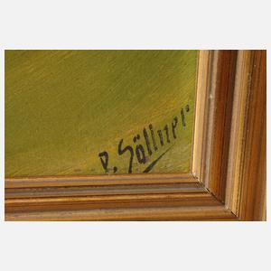 Paul Söllner, Blick auf den Kuhberg