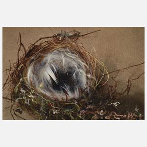 Willy Kriegel, Vogelnest