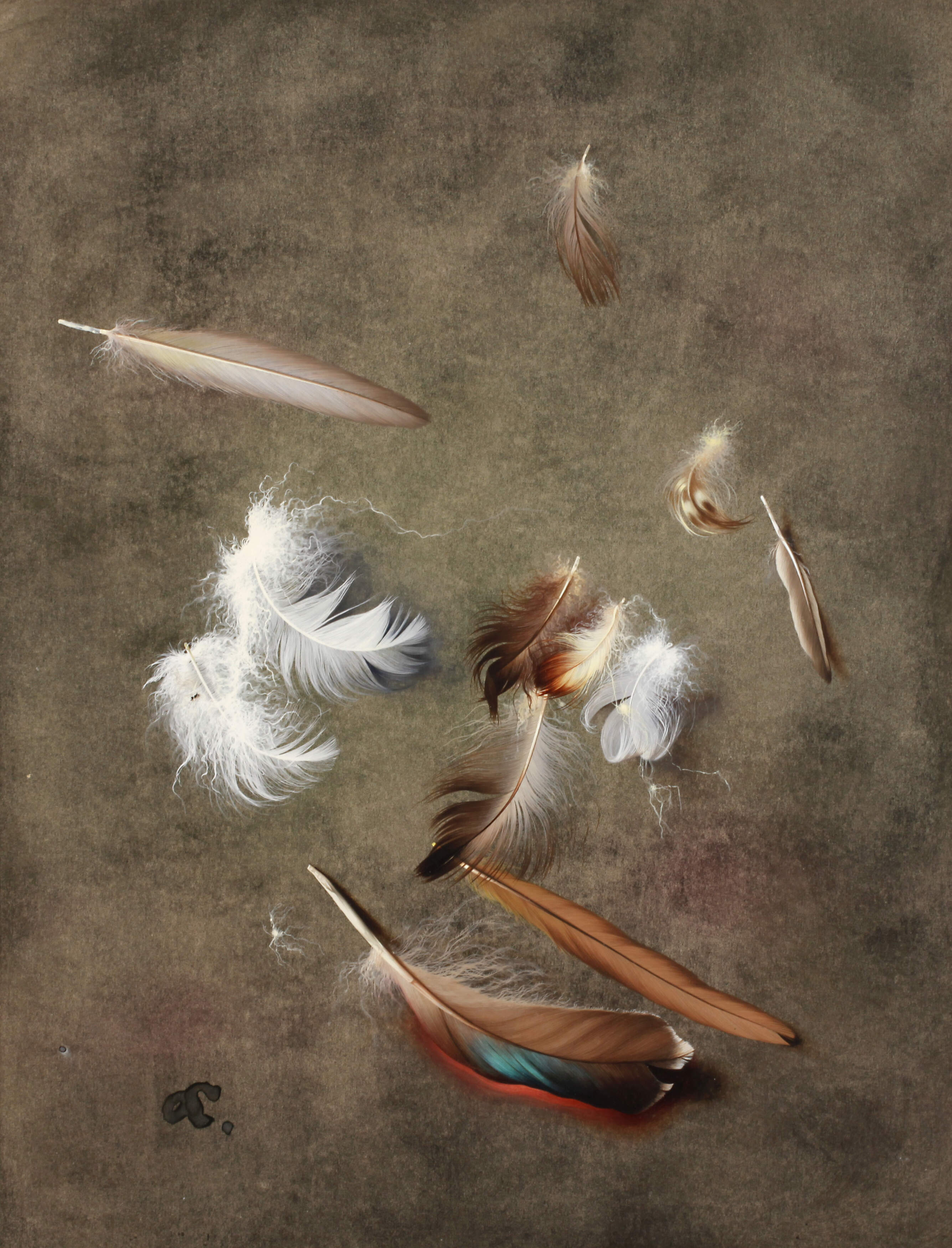 Willy Kriegel, Stillleben mit Vogelfedern