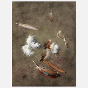 Willy Kriegel, Stillleben mit Vogelfedern