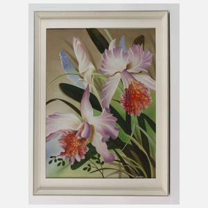 Manfred Leibl, Orchideen