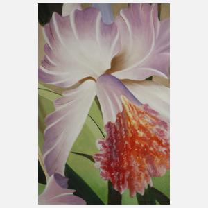 Manfred Leibl, Orchideen