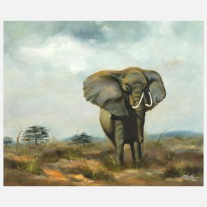 Manfred Leibl, Elefant in der Savanne