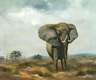 Manfred Leibl, Elefant in der Savanne