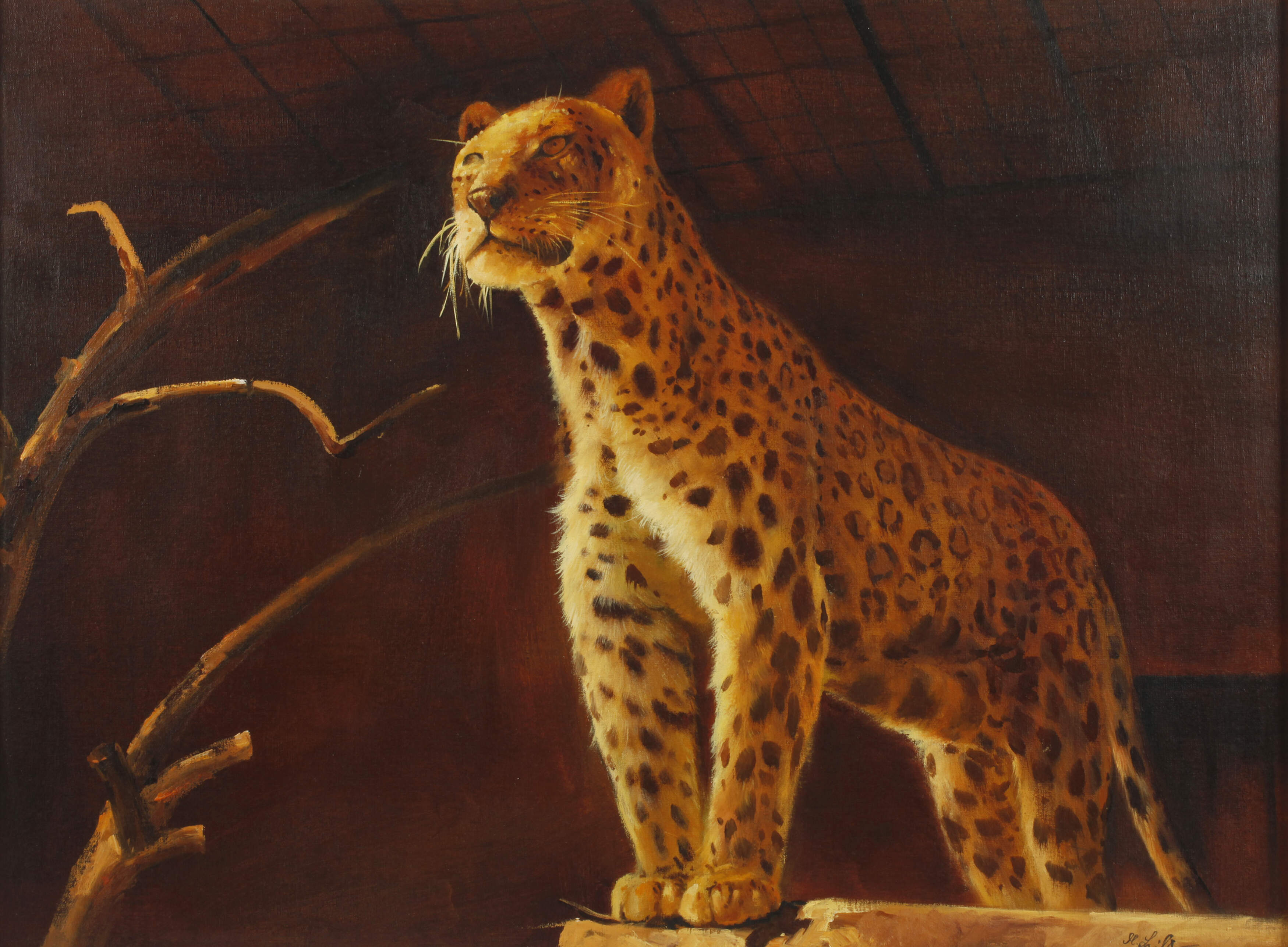 Manfred Leibl, Gepard