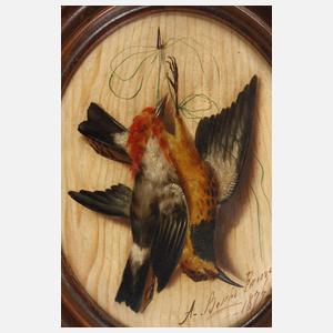 Achille Boschi, Trompe-l’œil mit toten Vögeln