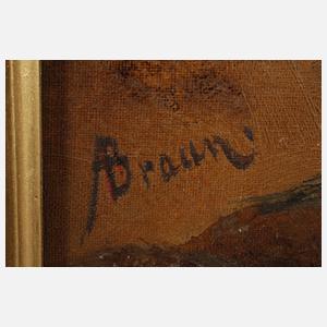 A. Braun, Hochgebirgslandschaft