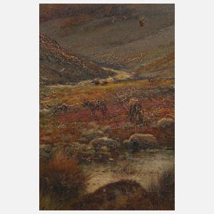 Alfred Fontville de Breanski jr., Das Dartmoor