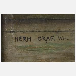 Hermann Graf, Beim Streichinstrumentenbauer