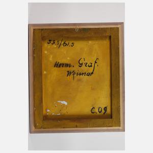 Hermann Graf, Beim Streichinstrumentenbauer