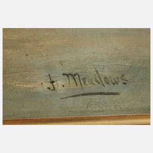 Meadows, attr., Venedigansicht