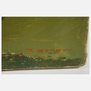 F. Berger, Burg Hohenstein in Mittelfranken