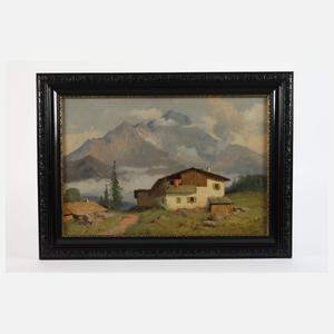 Buhumil Berghauer, Sommerliche Alm in den Alpen