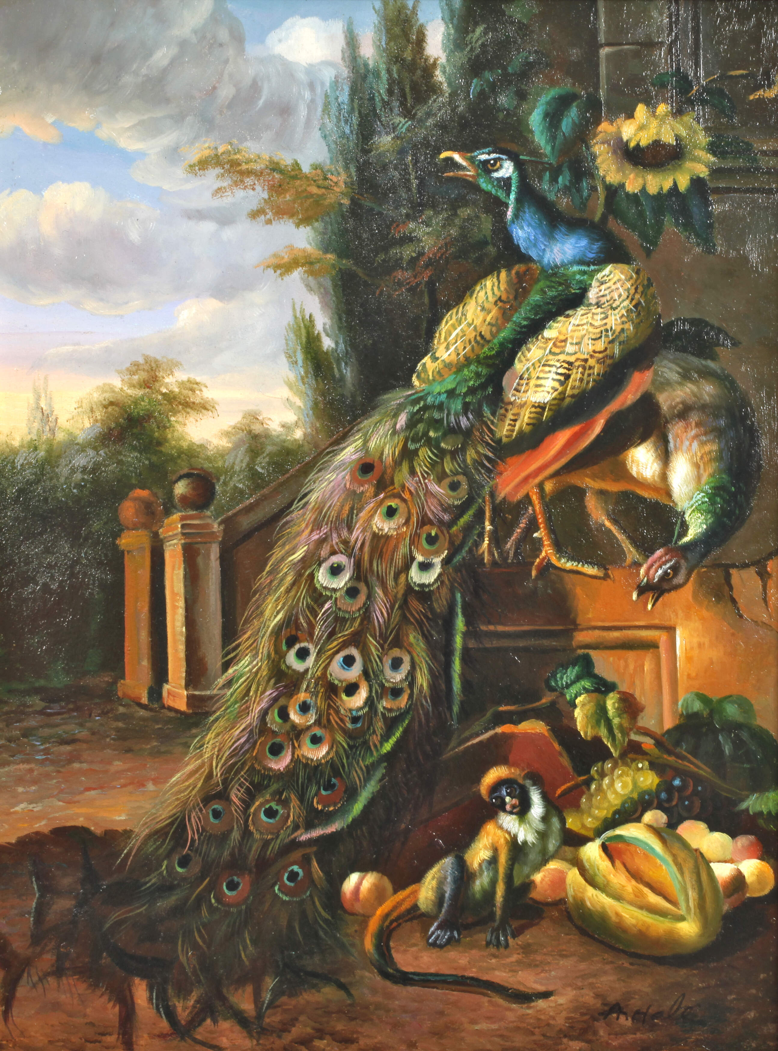 Hale, Pfauen nach Melchior d'Hondecoeter