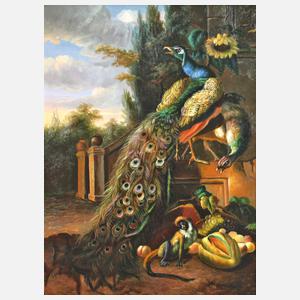 Hale, Pfauen nach Melchior d'Hondecoeter