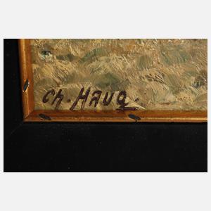 Christian Haug, Am Torfstich