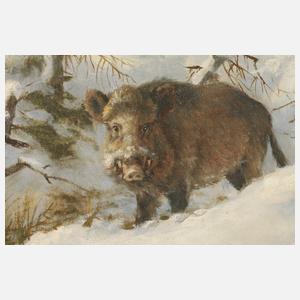 Fritz Laube, "Keiler" in Winterlandschaft