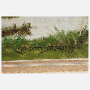 Paul Lehmann-Brauns, Piel auf einer Hallig