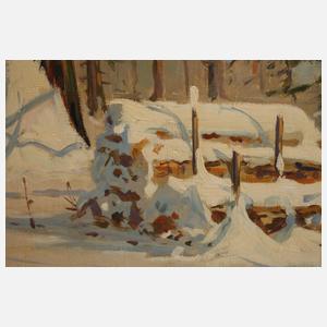 Bruno Moras, Sonniger Winterwald