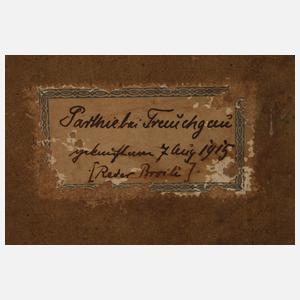 Franz Reder-Broili, "Parthie bei Trauchgau"