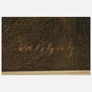 Manfred Schatz, Auffliegende Enten