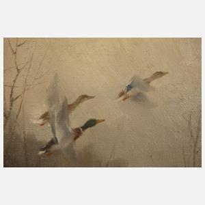 Manfred Schatz, Auffliegende Enten