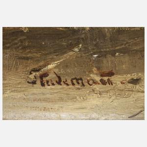 Adolf Stademann, Eisvergnügen