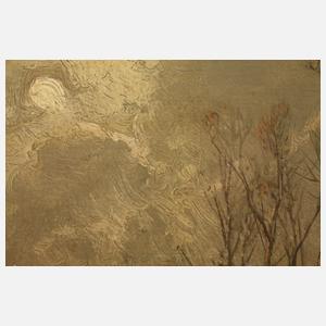 Adolf Stademann, Eisvergnügen