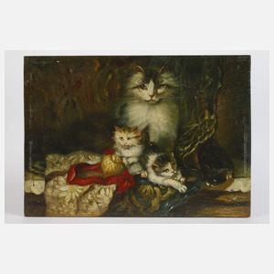 Katze mit spielenden Jungen