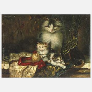 Katze mit spielenden Jungen