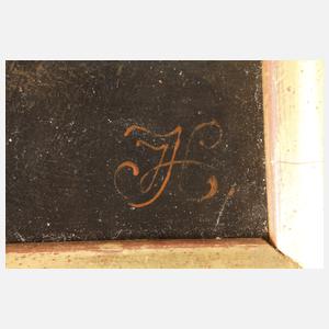 Pilze mit Insekten und Feuersalamander