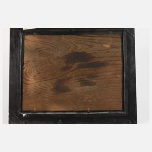 Pilze mit Insekten und Feuersalamander