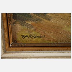 Fritz Brändel, Schlierseer Berge