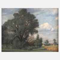 Oswald Gottfried, Weide bei Polling111