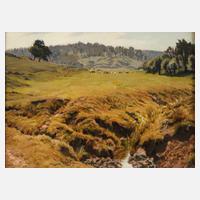 Václav Malý, Kühe im Gebirge111