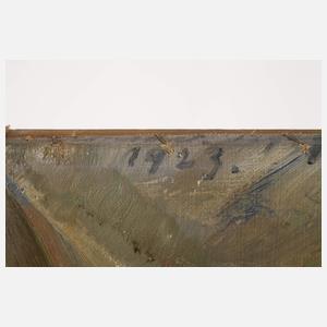 Werner von Pigage, Expressives Blumenstillleben