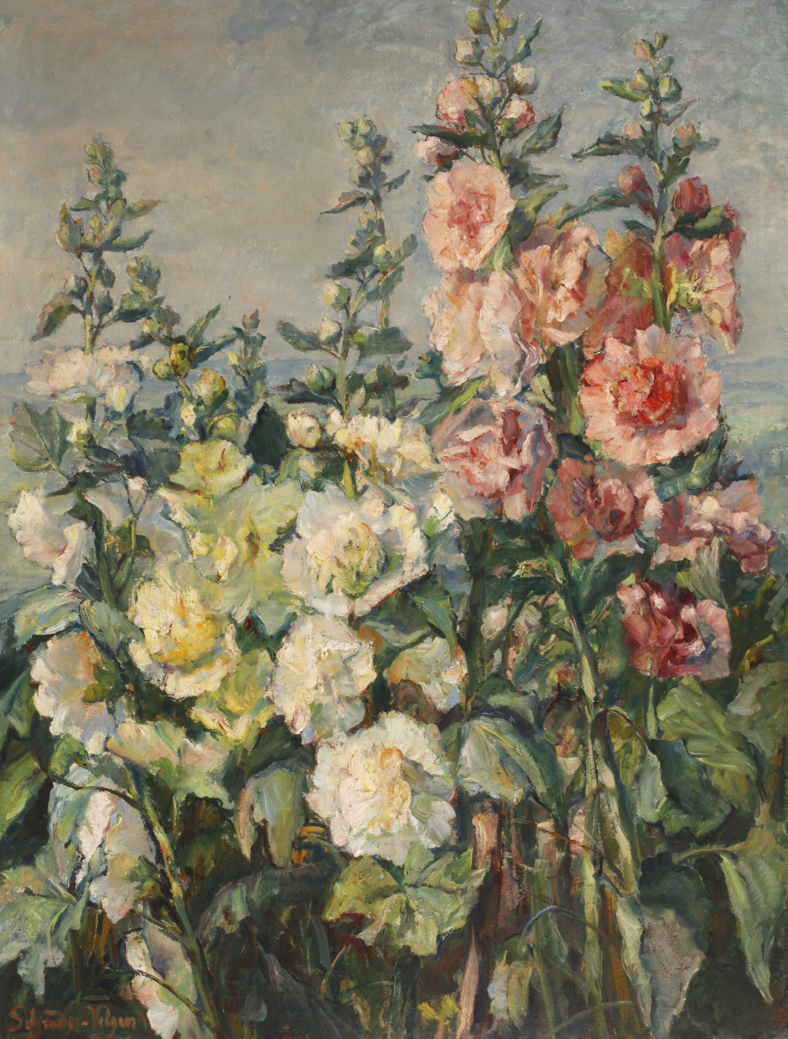 Carl Hans Schrader-Velgen, "Malven"