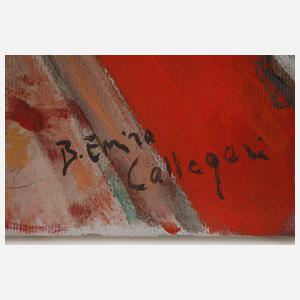 Bruno Emiro Callegari, "Visione Rossa"