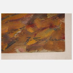 Julius Seyler, Bei der Feldarbeit