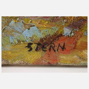 Stern, Lichte Sommerlandschaft