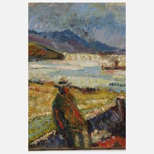 Stern, Lichte Sommerlandschaft