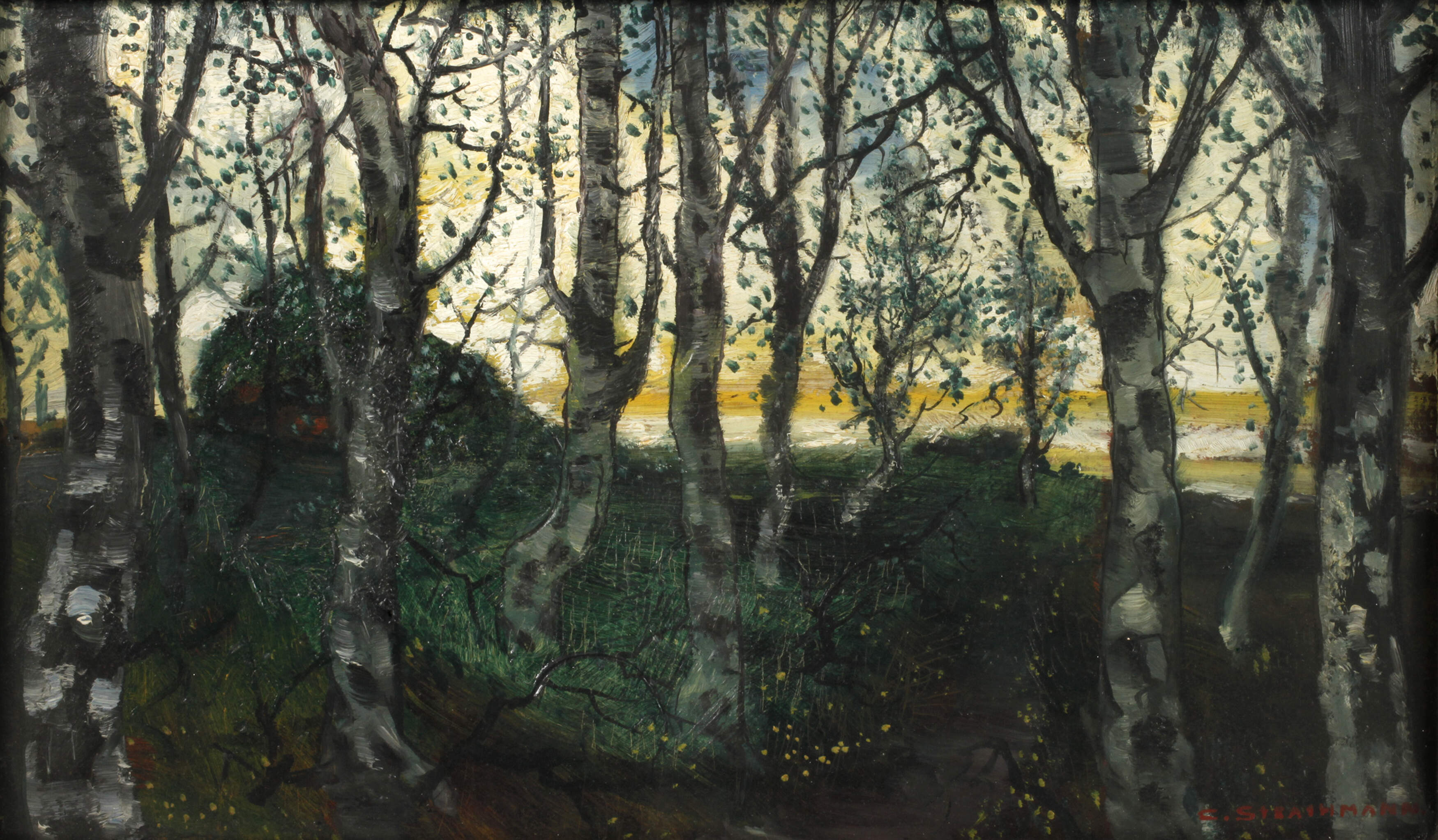Carl Strathmann, Birken in abendlicher Landschaft