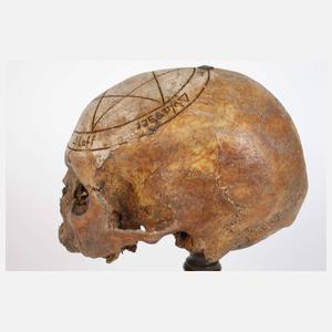 Barocker Schwurschädel