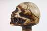 Spazierstock Memento Mori