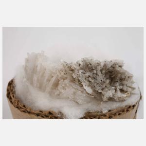 Konvolut Skolezite/Indien