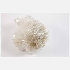 Konvolut Skolezite/Indien