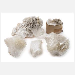 Konvolut Skolezite/Indien